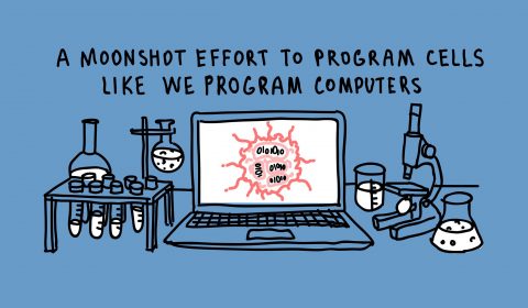 How Microsoft computer scientists and researchers are working to ‘solve‘ cancer