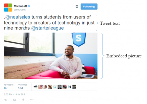 twitter_websiteexample