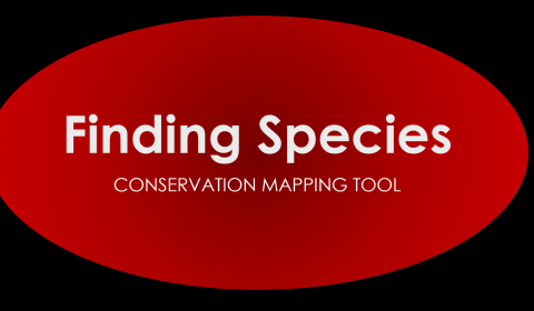 a close up of a logo