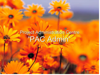 a close up of a flower