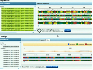 a screenshot of a computer