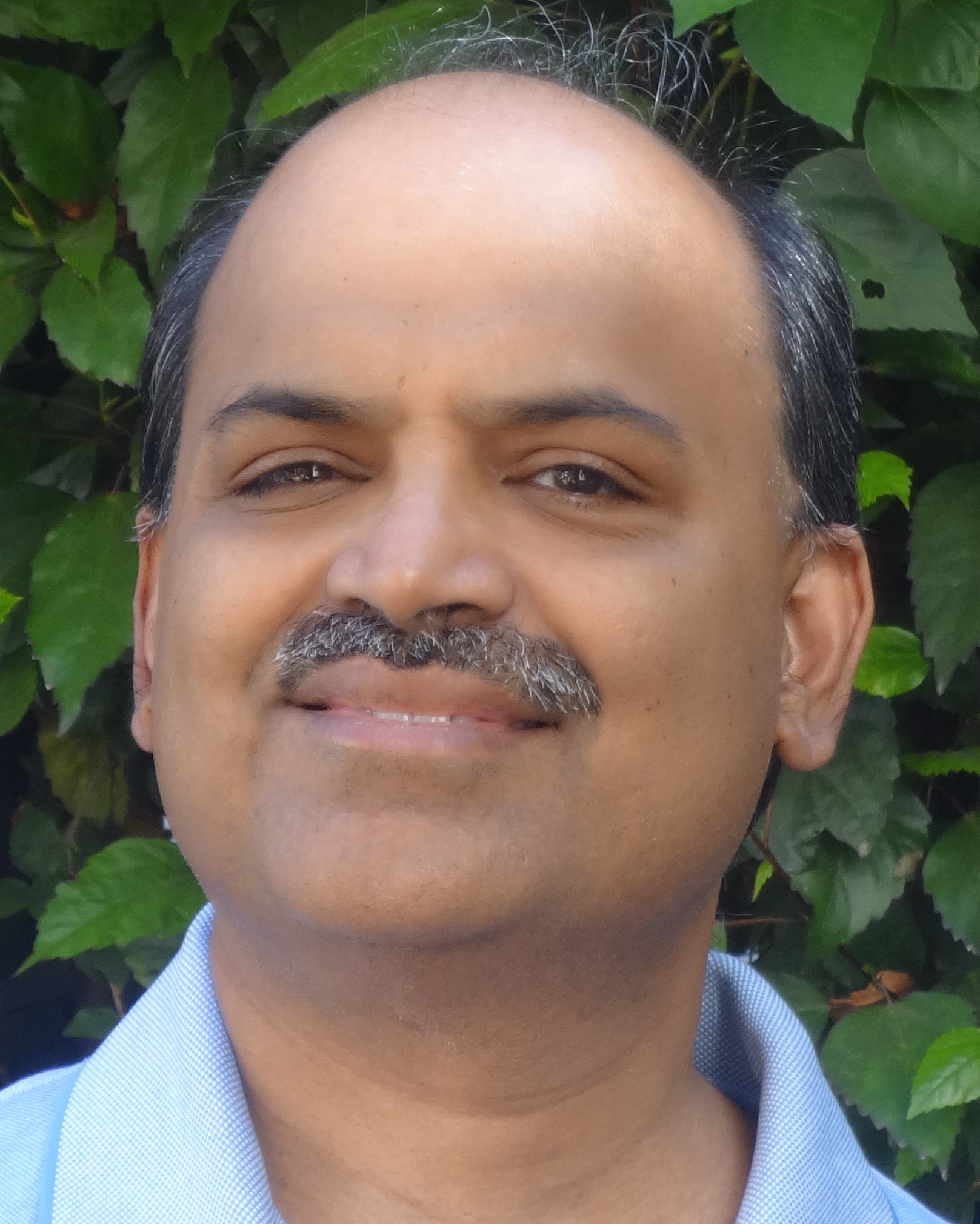 Portrait of G. Ramalingam