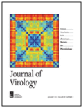 Correlates of protection from HIV immune escape (Journal of Virology, December 2012)