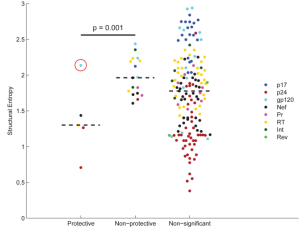 Natural controllers tend to target structurally constrained epitopes (Journal of Virology, November 2014)