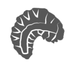 Aquaponic Stage 1: Worms