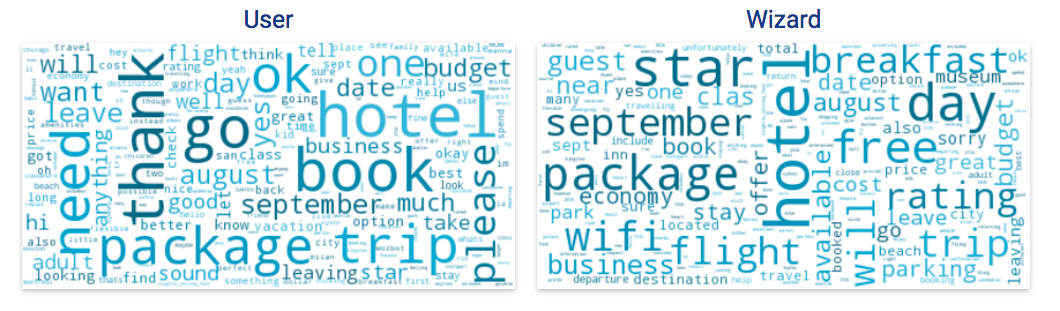 User and wizard graphic