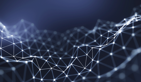 Discovering the best neural architectures in the continuous space