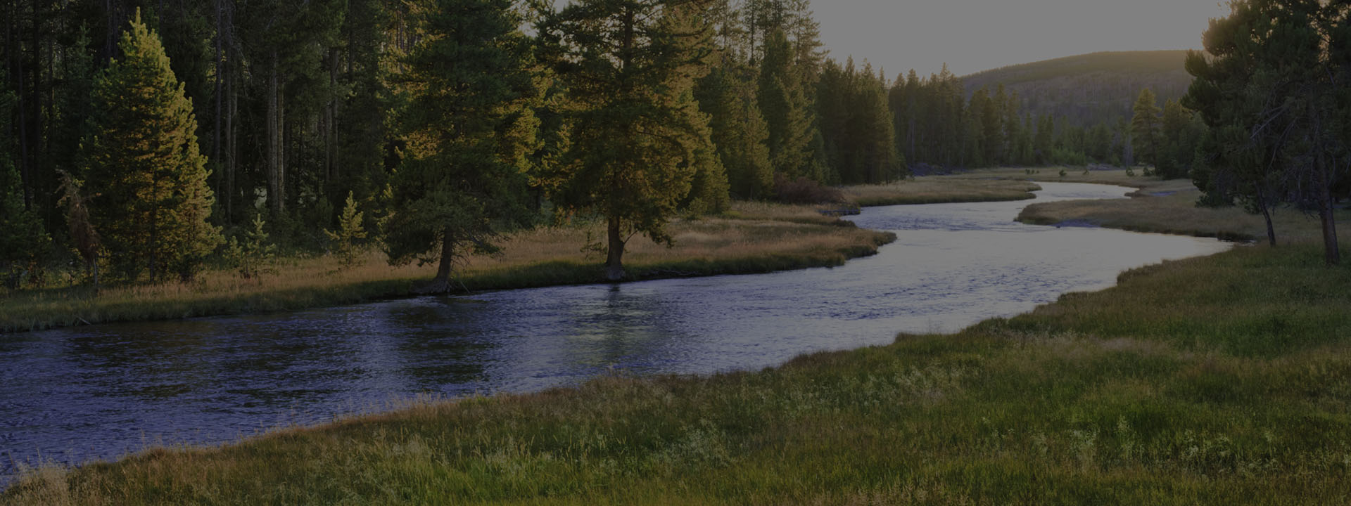 photo of a river winding through trees and grassland