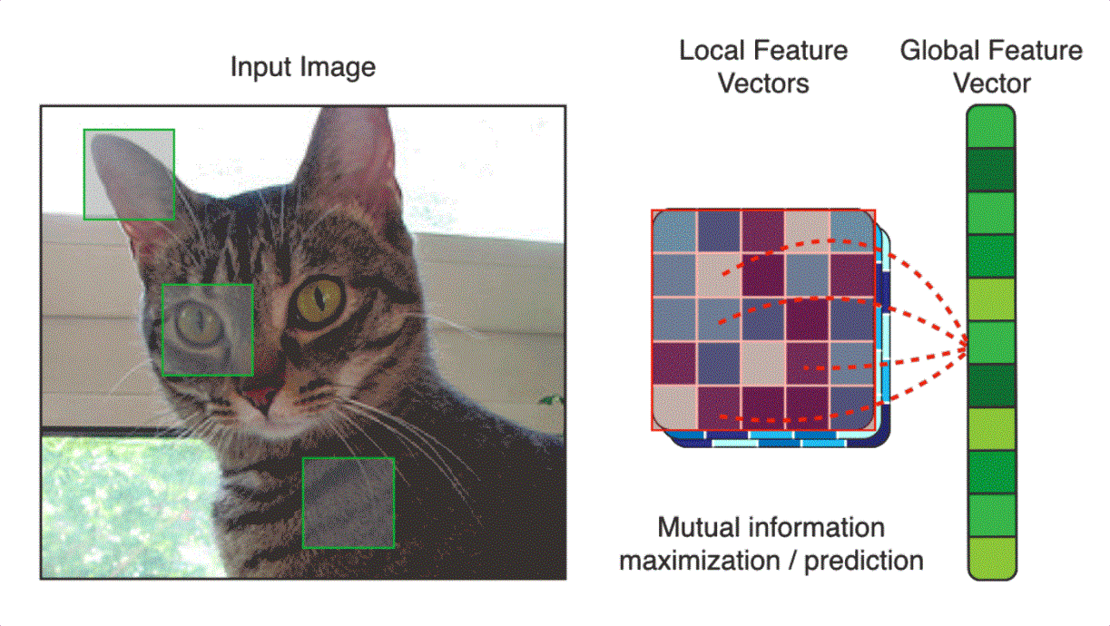 mutual information maximization prediction