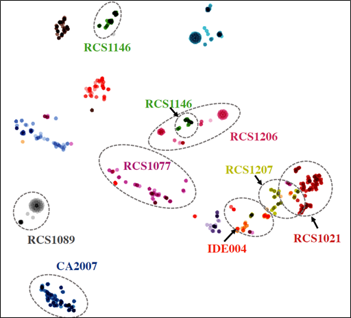 A t-SNE visualization of edits generated by the edit encoder using 16 handcrafted refactoring rules called Roslyn fixers showed the encoder was able to assign similar representations to similar semantic edits. The color of a point indicates from which fixer it was generated.