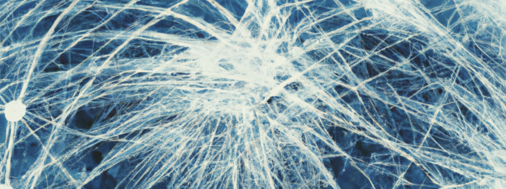 abstract image header - Decentralized Social Technology Collaboratory