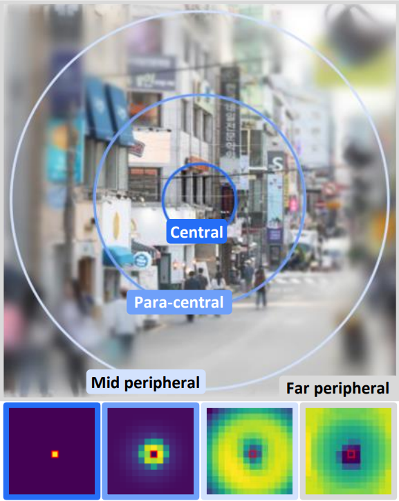 图3：人类周边视觉（上）与基于注意力的神经网络（下）相结合以进行视觉识别的示意图