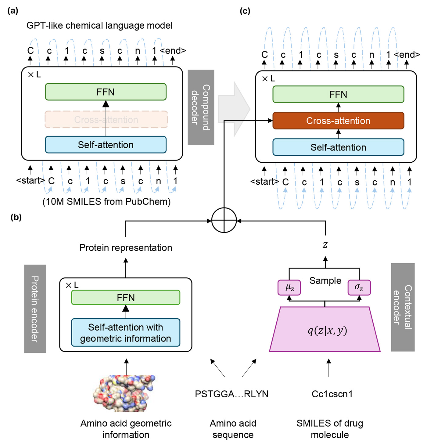 The protein encoder process proteins information, including 3D information, to help with protein representation. The contextual encoder captures protein-ligand information to generate new molecules bind to proteins. Then the new molecules will be converted into SMILES and pre-trained a GPT-like model to generate molecular compounds.