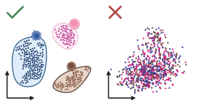 A sketch of high performance (left) and poor performance (right) on the cell clustering task. A well performing zero-shot model should look more like the left panel than the right.