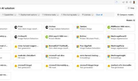 graphical user interface, application