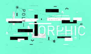 Designer image whose text reads "Polymorphic."