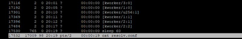 「cat resolv.conf」のエントリを含む「ps -aef」の出力のスクリーンショット。