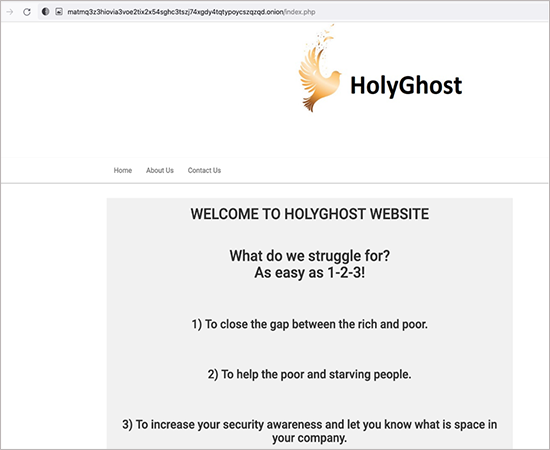 A screenshot of the H0lyGh0st .onion website. The page has a white background and white text, and presents claims made by the group regarding the motives behind their activities. 