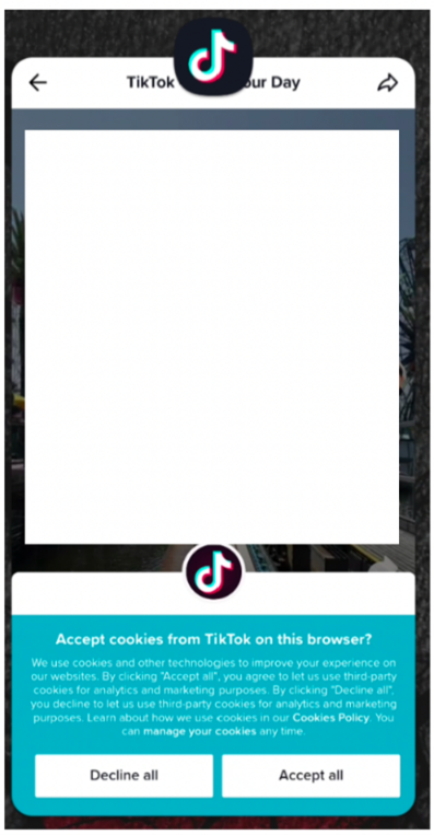 An image of the TikTok application's WebView successfully loading Tiktok.com. The WebView displays a prompt to Accept all or Decline all cookies from TikTok on this browser, while the app's display has been redacted for privacy. 