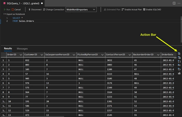 1Query Results window with Action Bar text and arrow pointing to the action bar on the right side of the screen.