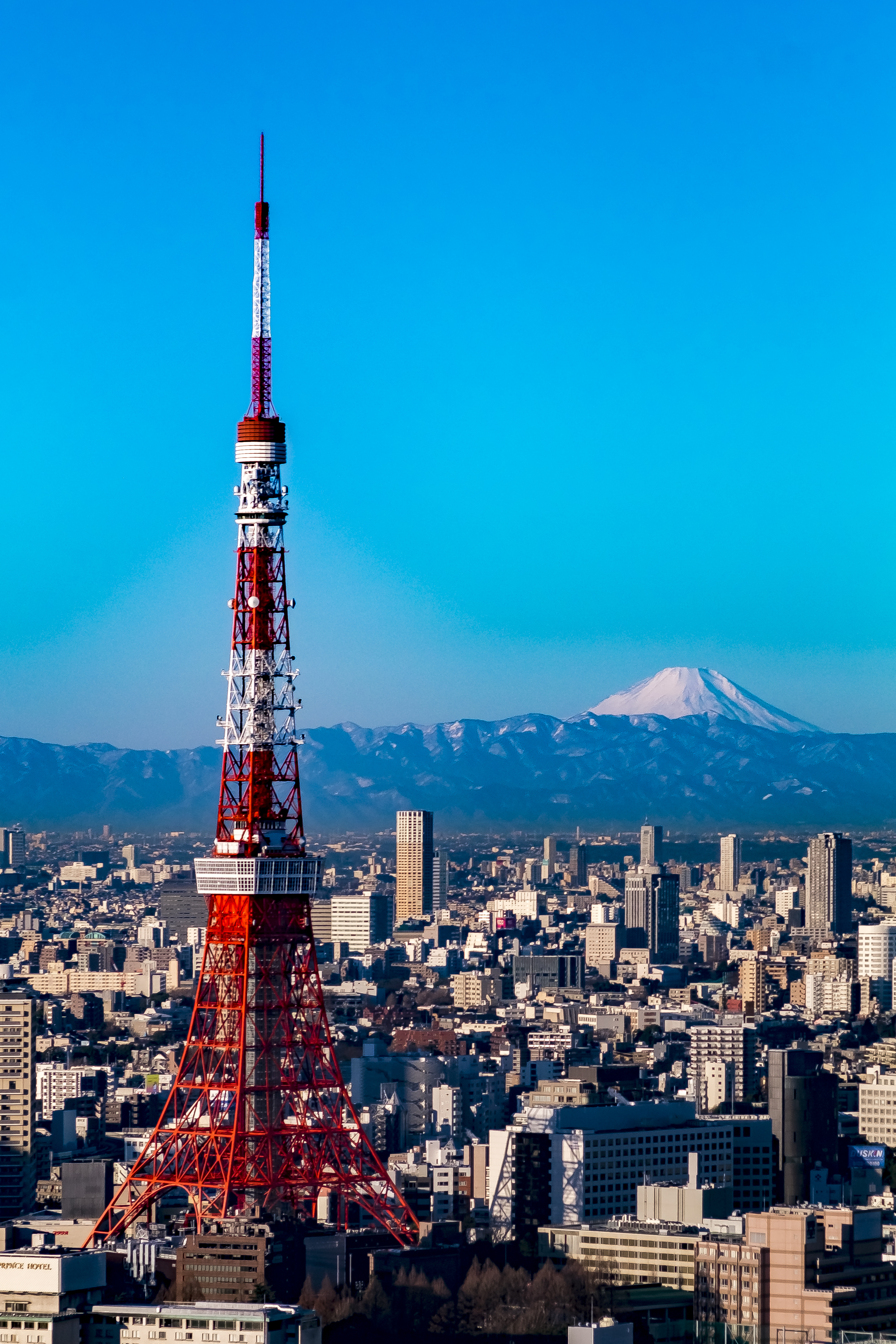 Tokyo tower and Mt. Fuji