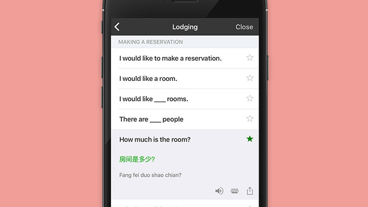 Translator app phrasebook in action