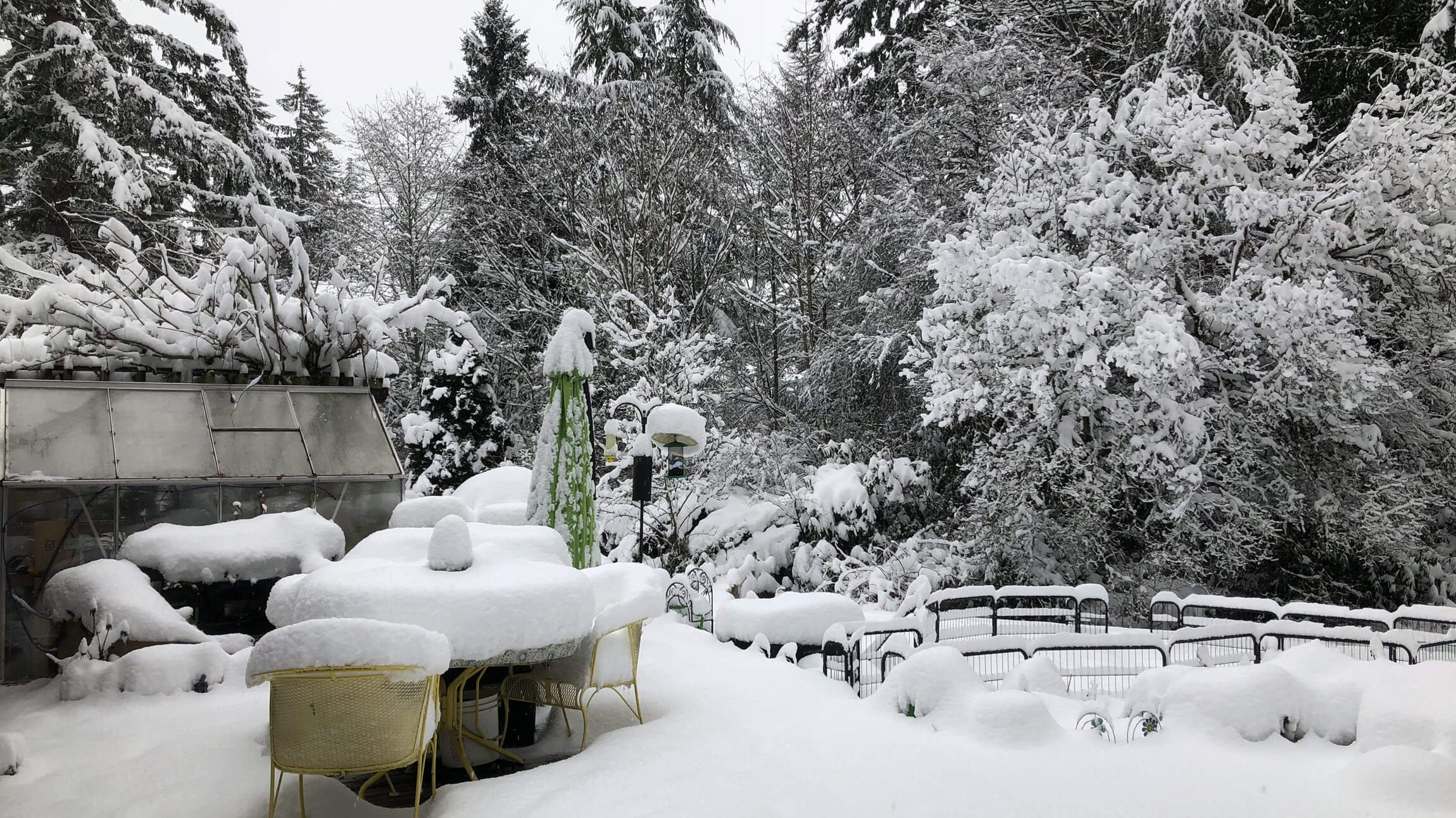 A snow-covered deck with a patio table and fence rail all buried by untouched snow at least one-foot deep. The background is filled with tall conifers all covered in heavy snow.