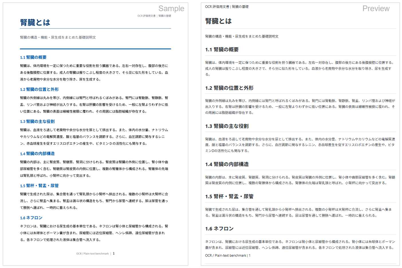 腎臓に関する文書をOCRで解析し、見出しと段落構造を保持した出力例