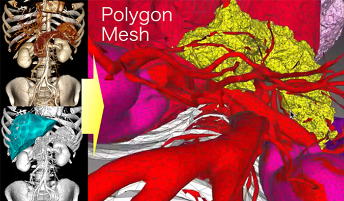 Polygon Mesh