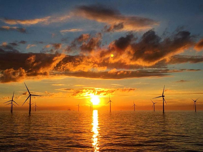 写真: 英国にある Siemens Gamesa の洋上風力タービン