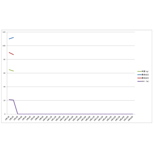 血圧・BMI 管理表 画面スライド-2