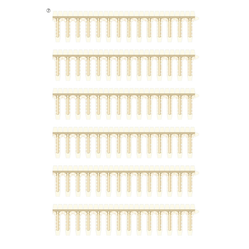 世界遺産ジオラマ (ピサの斜塔) 画面スライド-3