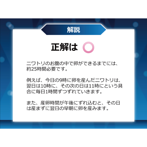 ○× クイズ大会 演出ムービー 画面スライド-3