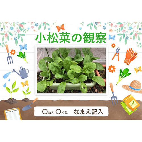 自由研究 (じゆうけんきゅう) ノート (小松菜の観察 こまつなのかんさつ) 画面スライド-1