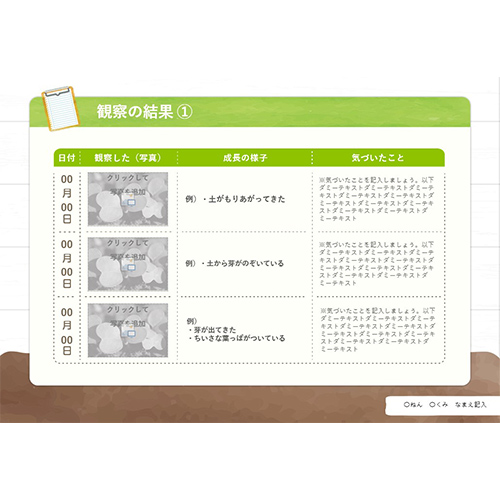 自由研究 (じゆうけんきゅう) ノート (小松菜の観察 こまつなのかんさつ) 画面スライド-4