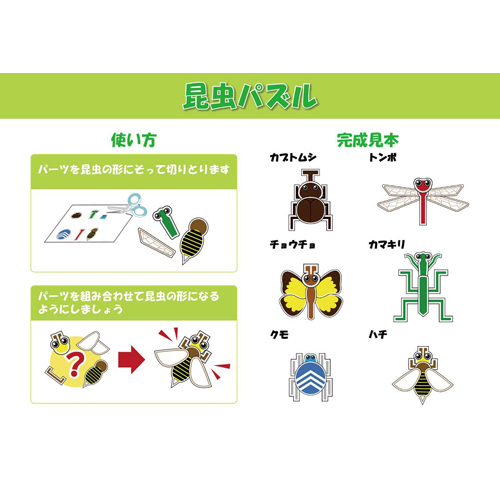 昆虫 (こんちゅう) パズル 画像スライド-4