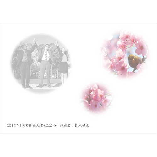 フォト ブック (成人式) 画像スライド-4