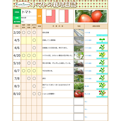 トマト様オーダーページ トマト様オーダーページ トマト様オーダー