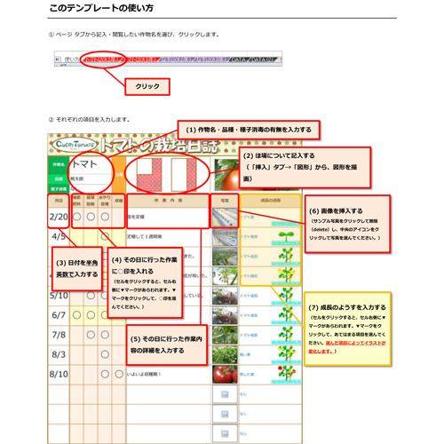トマトの栽培日誌 (月9ドラマ「リッチマン、プアウーマン」放送) 画像スライド-3