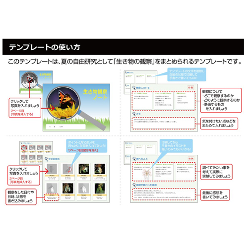 汚す ピア 薬 生き物 観察 ノート Azusa Co Jp