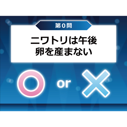 クイズ大会 演出ムービー 無料テンプレート公開中 楽しもう Office