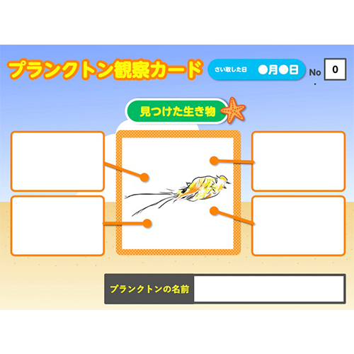 プランクトン観察カード 画像スライド-3