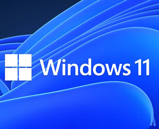 背景是由层叠的花瓣状图案构成。画面中央偏左是微软的标志，由四个小方块组成一个大方块。右侧写着 “Windows 11”。