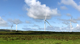 企業綠能低碳排的圖示